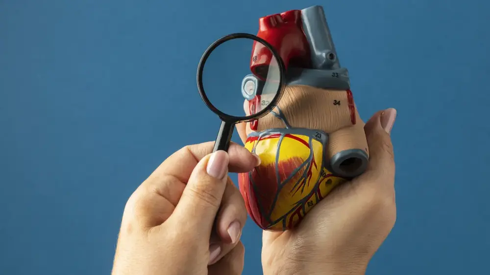 Cardiomiopatia: tipos, sintomas e tratamentos